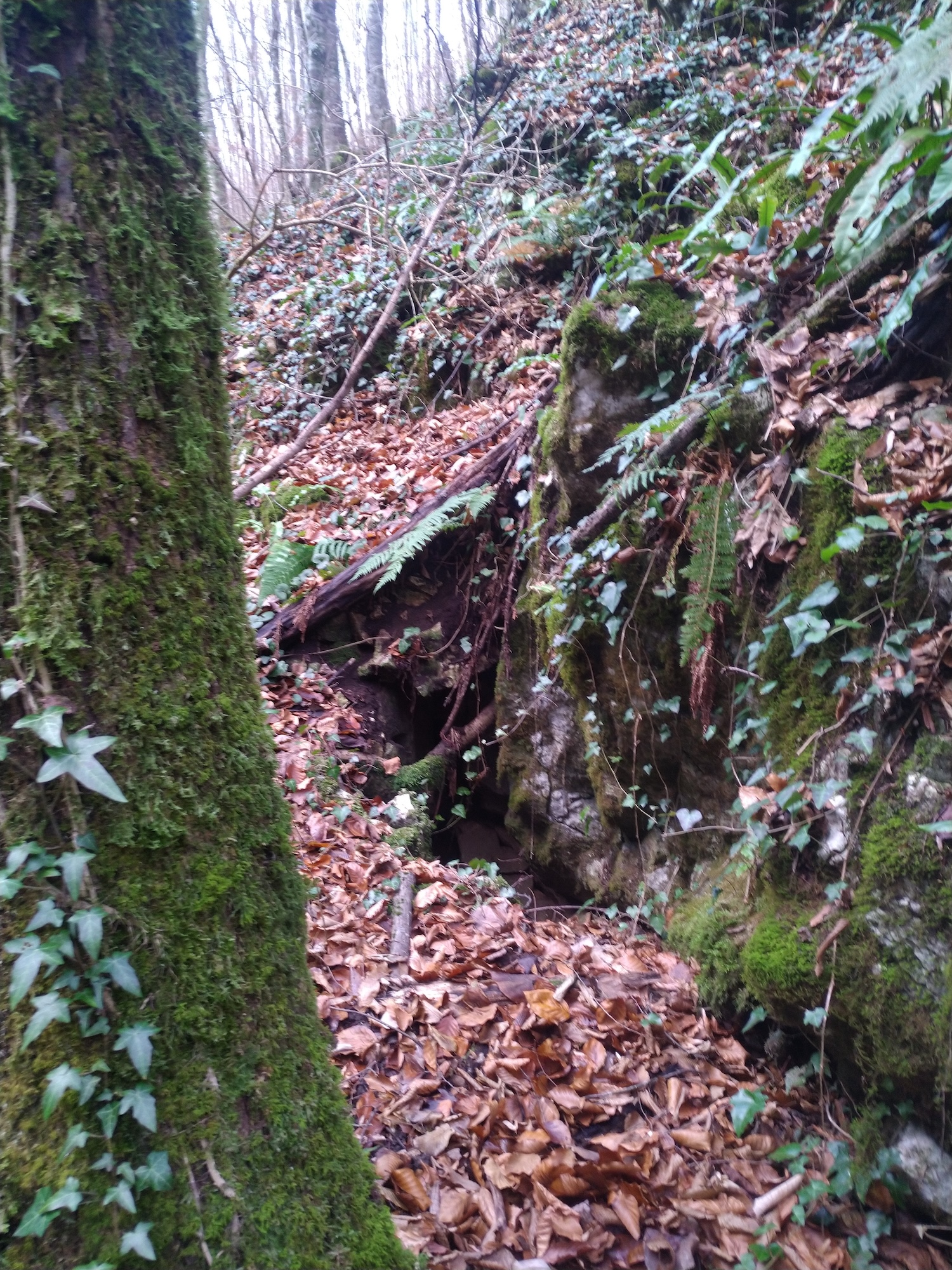 Pestera nr. 23 din Valea Comarnic - Image 2